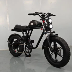 MTB Electric Fat Tire Mountain Bike Aluminum Alloy Frame Brushless Motor Wear Resistant Thick Tires Reinforced Stable