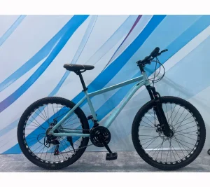 MTB Men’s 26-Inch Mountain Bike with 21 Speed Disc Brake System Ordinary Pedal & Steel Fork for Cycling