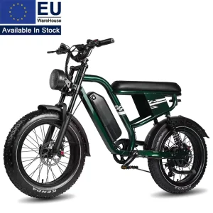 MX10 EU Standard 250W 48V 13.5Ah 648Wh Removable Battery Kenda Fat Tire Retro Scrambler Electric Cruiser Bike