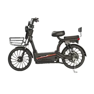 Made in China New Electric Small Battery Bikes Men’s and Women’s Two Wheel Electric Bicycles with 9Tubes