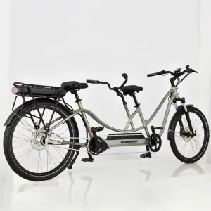 Manufacture high quality fashion designed 26 inch tour bike 2 persons riding electric bicycle tandem bike