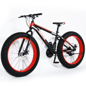 Manufacturer Customized Sports Fat Tire Mountain Bike MTB Bicycle