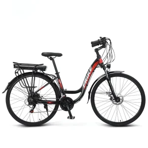 Manufacturer Direct Supply Langgeng Adult Electric Touring Mountain Bike Dual Batteries 9 Speed Steel Frame Hydraulic Disc