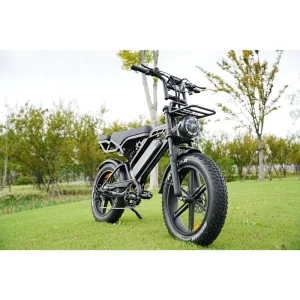 Manufacturer Zerogo Elektrische Fiets Electric Mountain Bike V20 Pro Fatbike Elektro Fahrrad 24 Zoll 250w Overseas Warehouse
