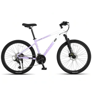 Manufacturers Bicycles for Teenagers Adults Mountain Bikes Students Men and Women Style Cycling Bikes