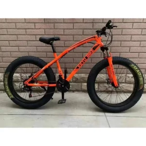 Manufacturers Direct Bike Tire Fat Tyre Bike Big Tire Adult Snow