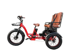 Max Loading 48V 19.2Ah Electric Cargo Bike 750W Front Hub Motor 26Inch 3 Wheel Trike Disc Brake Aluminum Alloy Frame