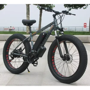 Men Electric Bike 48V 750W Ebike 26 Inch Fat Tire Electric Bicycle Mountain Bike