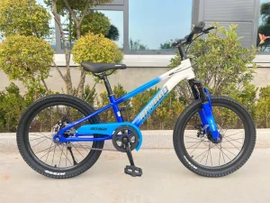Men’s 20-inch and 24-inch Mountain Bicycles in Stock Fit for Mountain and City Road Cycling