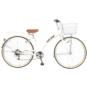 Men’s 26 Inch Retro Urban City Bike 6 Speed Classic Stadsfiets with Steel Fork