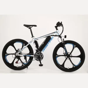 Men’s 29 Inch Electric Bike Mountain Fat Tire Electric Bicycle 500 Watt Downhill Electric Bicicleta Cycle