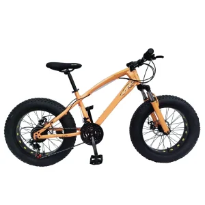 Men’s Fat Tire Bicycle 26 Inch Fat Tire Bike Big Tire Mountain Bike