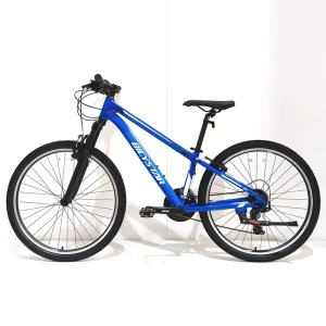 Men’s Women’s Steel Mountain Bike Variable Speed Youth Students Commuting Road Racing Shock Absorption Disc Brake Features