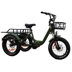 Mid Drive 3 Wheel 20inch Electric Cargo Tricycle Dual Battery 750W 1000W Etrikes