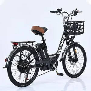 Mid Drive E bikes 48V 250W City Ebike Electric Bike