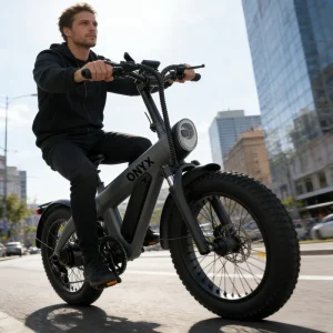 Mid Drive Rear Hub 750W Brushless Electric Bike 48V 20 Inch Tires Dual Suspension 7 Speed Aluminum Alloy Mountain E Bike