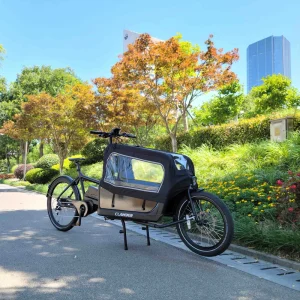 Middle Motor 2 Wheel Cargo Bike Alloy Frame Cheetah Clamber Transport Bike Best Selling Europe Warehouse Bike Show