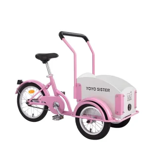 Mini Cargo Bike for Children Three Wheel Tricycle Single Speed Pets Bike Kids Bicycle