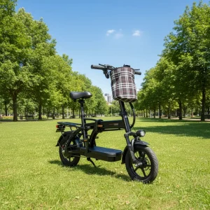 Mini Size Folding Electric Bicycle Electric City Bike Electric Bicycle Folding Bike