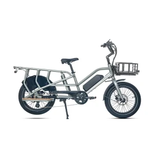 Modern Outdoor Family Cargo Bike Electric Cargo Ebike for Food Delivery