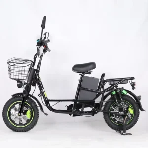 Monster Electric Bike 16inch Adults Cargo Courier Food Delivery Electric Bicycle 48V 60V 21Ah 30Ah 40Ah Scooter