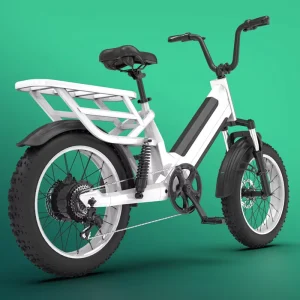 Most Popular China Fatbike 48v 750w Ebike Fat Tire Electric Bike