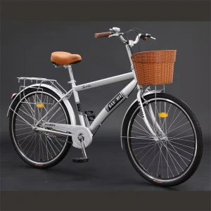 Most Popular Ladies Cycle Bicycle Normal Cycle Sell Cycle High Quality Bicycle