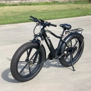 Motorcycle Bike 2000W Fat Tire Electric Bike E Bike 2000W Ebike Fat Tire Electric Scooters 1000W 48V Ebike