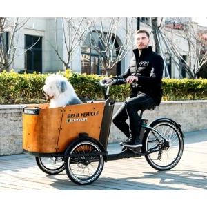 Motorized Cargo Trike 3 Wheel Tricycle for Family Use Factory Price Bike