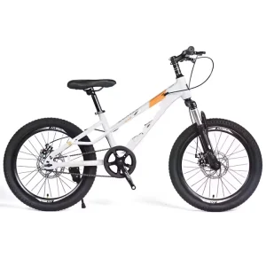 Mountain Bike China 24 Inch Support OEM Mountain Bike 18 or 21 Speed MTB Bike