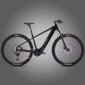 Mountain Bike Electric E-bike 500W 48V Li-ion Battery 12 Speed