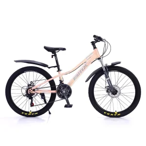 Mountain Bike MTB Bicycle for Men Steel Frame Mountain Bike 29 Inch Mountain Bicycle Bike