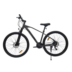 Mountain Bike Sports Bikes for Men Variable Speed 21/27 Speed Off-road Bike Bicicletas Mountain Bike Trek