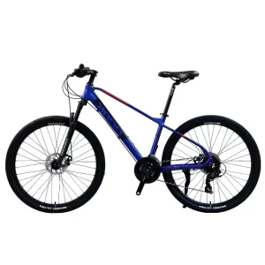 Mountain Bike for Men