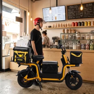 Mountain Cargo Electric Bike 501 1000W 60V 40 60km h Fat Tire Delivery Vehicle