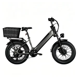 Mountain Touring Electric Mountain Bike with 7 speed Gear Fat Tire Electric Bike for Outdoor Trips