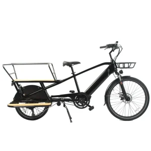 Multifunctional High Load Cargo Electric Bicycle for Shopping