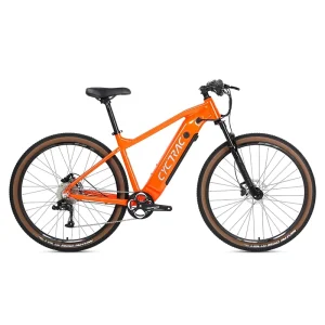 NEW High Quality 29 Inch E-bike Hub Motor Mountain Bike Adult Alu Alloy Mountain Bike
