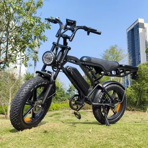 Netherlands E-Bike 48v 250watt 250w E Bike Electric Bike Fat Tire Dirt Ebike for Adults Men Sales Electric Bicycle