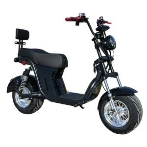 New Arrival Electric Motorcycle 1500w Electric Motorcycle Bike Long Range Electric Motorcycle Electric Mopeds for Adults