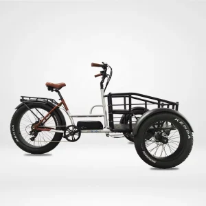 New Design 48V 500W 750W 3 Wheel Electric Tricycle Adult Cargo Bike with Front Basket Lithium Battery Brushless Disc Brake