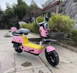 New Electric Bicycle Hot Selling Chinese Electric Bike Adults Electric Motor