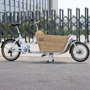 New Front Loading Cargo Bicycle 2 Wheel Last Mile Delivery Cargo Bike Electric Logistic Using Family Use Cargo Bike