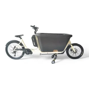 New Hybrid Electric Cargo Bikes 2 Wheels Electric Cargo Bicycle E cargo Family Bike