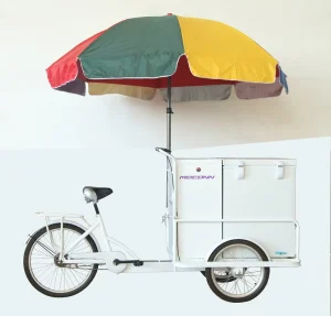 New Model Adult Cargo Tricycle Single Speed Steel Frame 200kg Load Capacity Off-Road SY-TR108BC-A