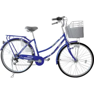 New Model Cycling for Gentlemen and Lady Steel Frame City Bike Road City Bike with Price