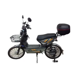 New Model Electric Bicycle Manufacturer for Adults with Fast Charging