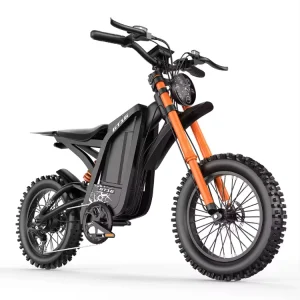 New Model GT16 Off Road Fat Tire Mountain Pedal Electric Bike with Rear Hub Motor Lithium Battery 1500W 55km/h Adults