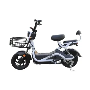New Products 2 Wheel Mini Electric Bike Electric Scooter Electric Bicycles Low Price