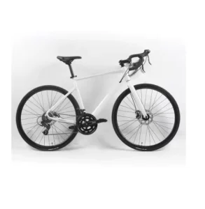 New Road Bike Factory Will Sell 10-speed Aviation Aluminum 700C Line Disc Brake Road Bike